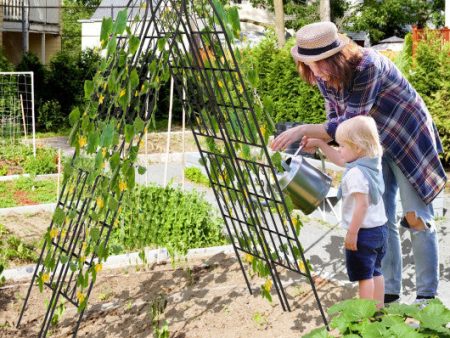 2 4 Pack 71 x 20 Inch Metal Garden Trellis for Climbing Plants-Set of 2 For Discount