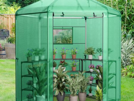 Walk-In Hexagonal Greenhouse with PE Cover and Metal Frame For Cheap