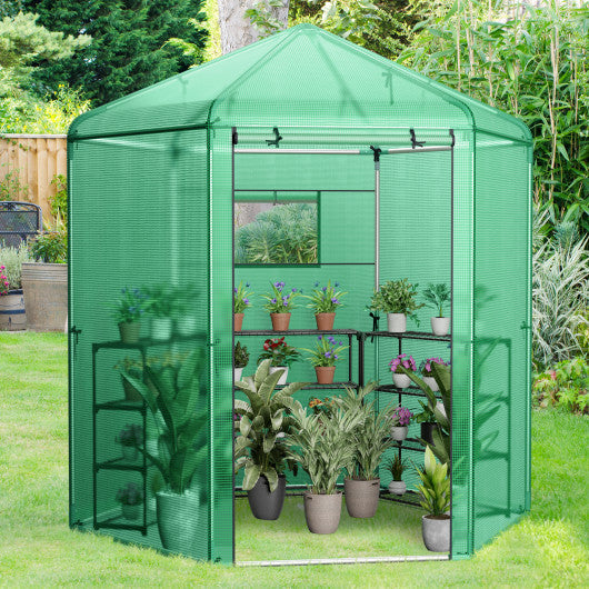 Walk-In Hexagonal Greenhouse with PE Cover and Metal Frame For Cheap