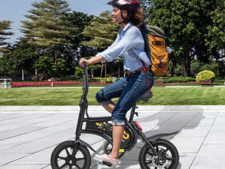 Electric Bike for Adults Folding Electric Bicycle with 350W Motor and 36V Battery Cheap