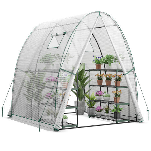 6 x 6 x 6.6 FT Outdoor Wall-in Tunnel Greenhouse-White Fashion