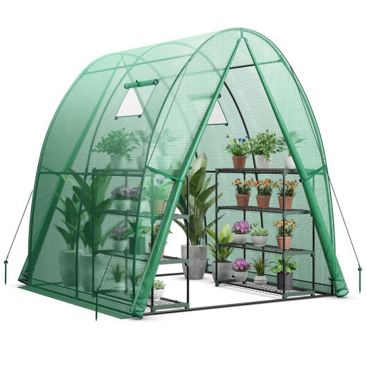 6 x 6 x 6.6 FT Outdoor Wall-in Tunnel Greenhouse-Green on Sale