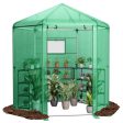 Walk-In Hexagonal Greenhouse with PE Cover and Metal Frame For Cheap