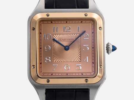 Cartier Santos Dumont Limited Edition W2SA0025 Online Hot Sale