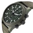 IWC Pilot IW389106 Online